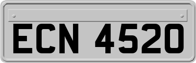 ECN4520