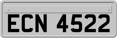 ECN4522