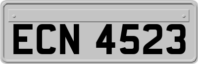 ECN4523