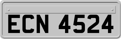ECN4524