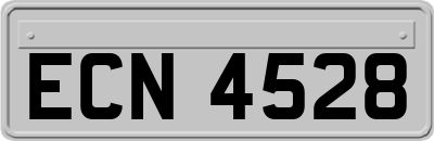 ECN4528
