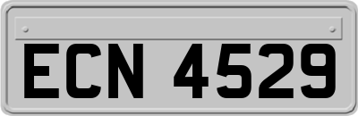 ECN4529