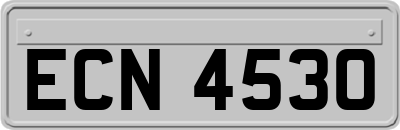 ECN4530