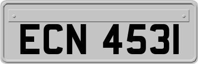 ECN4531