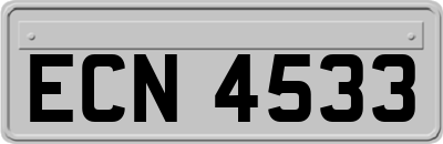 ECN4533