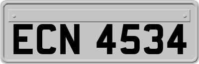 ECN4534