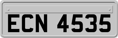 ECN4535
