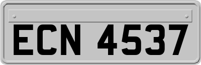 ECN4537