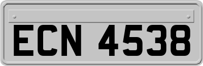 ECN4538