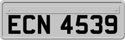 ECN4539