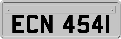 ECN4541