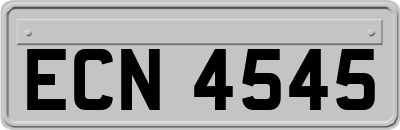 ECN4545