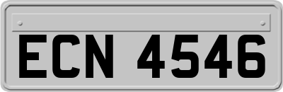 ECN4546