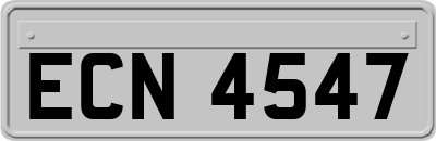 ECN4547
