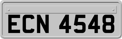 ECN4548