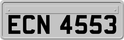 ECN4553