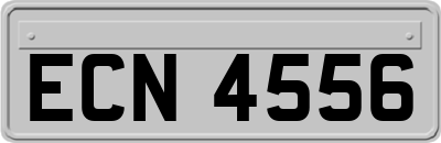 ECN4556