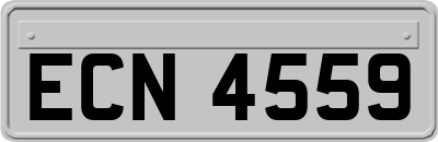 ECN4559