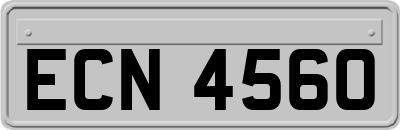 ECN4560