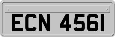 ECN4561