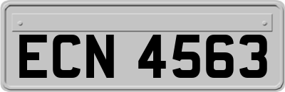 ECN4563