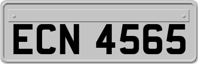 ECN4565