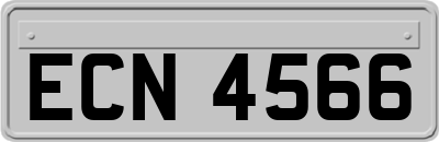 ECN4566