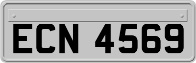 ECN4569