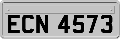 ECN4573