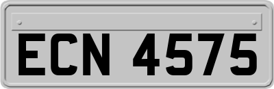 ECN4575