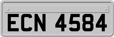 ECN4584