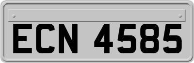 ECN4585