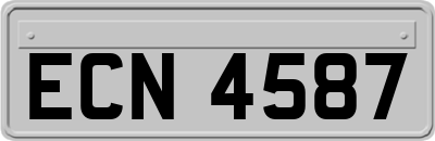 ECN4587
