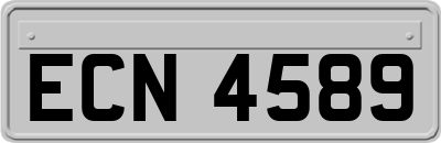 ECN4589