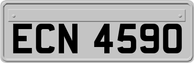 ECN4590