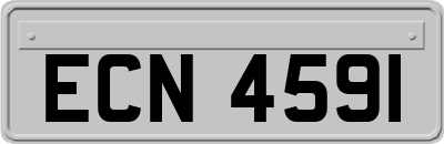 ECN4591