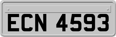 ECN4593