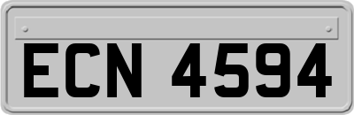 ECN4594