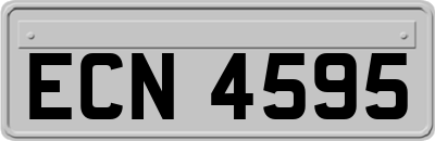 ECN4595
