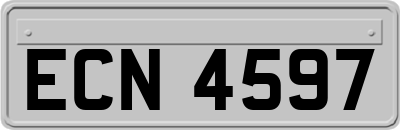 ECN4597