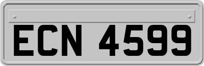 ECN4599