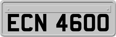 ECN4600