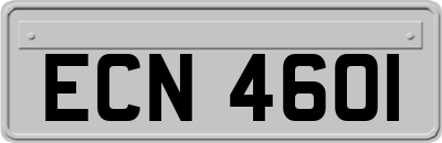 ECN4601