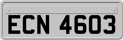 ECN4603