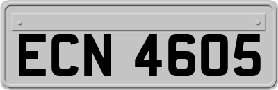ECN4605