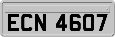 ECN4607
