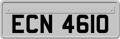 ECN4610