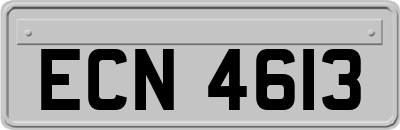 ECN4613