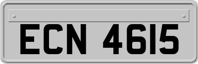 ECN4615