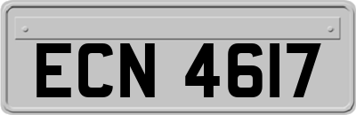 ECN4617